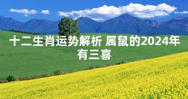 十二生肖运势解析 属鼠的2024年有三喜